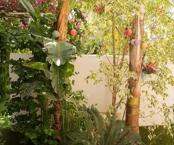 Million Flowers Protaras