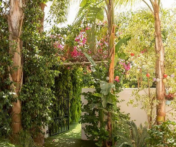 Million Flowers Protaras