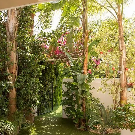 Million Flowers Протарас