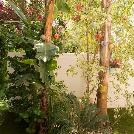 Million Flowers Πρωταράς